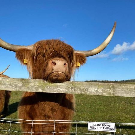 Glampods Glamping Pod - Meet Highland Cows And Sheep Elgin Villa Luaran gambar