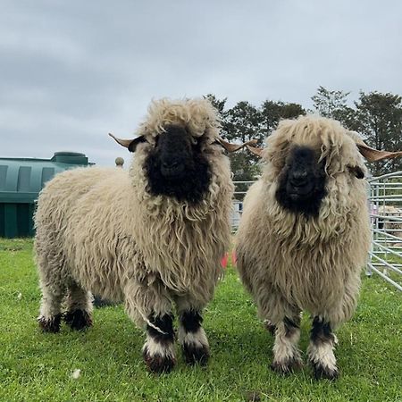 Glampods Glamping Pod - Meet Highland Cows And Sheep Elgin Villa Luaran gambar