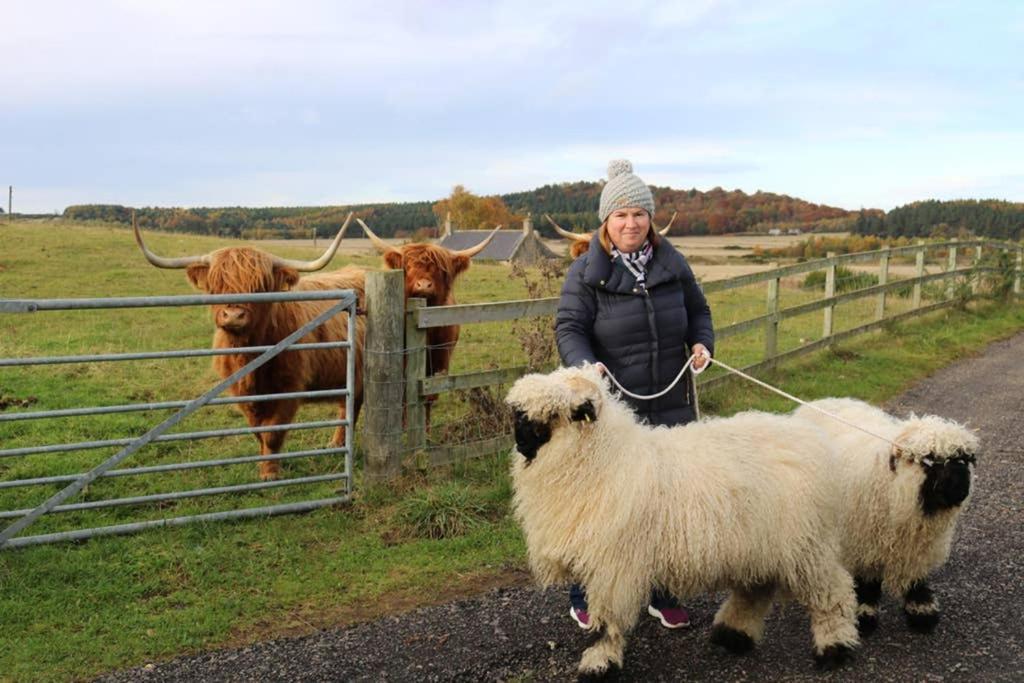 Glampods Glamping Pod - Meet Highland Cows And Sheep Elgin Villa Luaran gambar