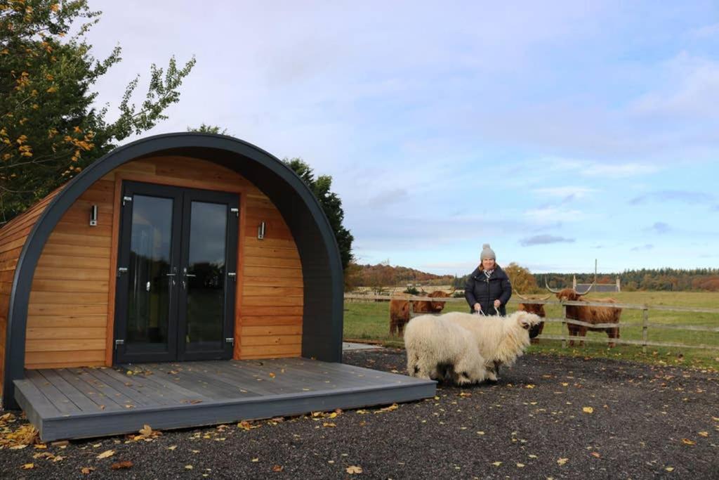 Glampods Glamping Pod - Meet Highland Cows And Sheep Elgin Villa Luaran gambar