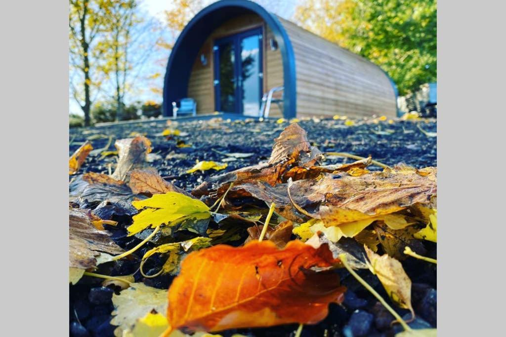 Glampods Glamping Pod - Meet Highland Cows And Sheep Elgin Villa Luaran gambar